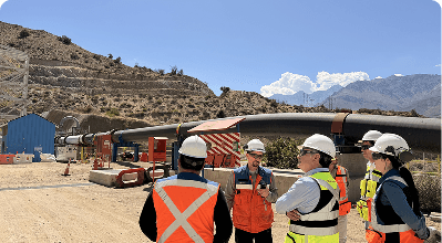 Diagnóstico y asesoría